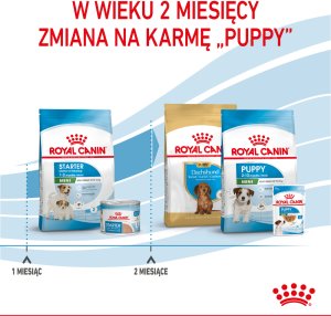 Royal Canin Mini Starter Mother & Babydog 1kg karma sucha dla suk w ciąży i okresie laktacji oraz szczeniąt, od 4 do 8 tygodnia, ras małych 8