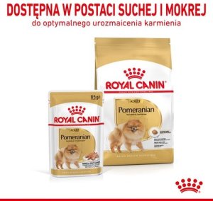 Royal Canin Pomeranian Adult 500g karma sucha dla psów dorosłych rasy Pomeranian 3