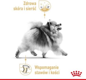 Royal Canin Pomeranian Adult 500g karma sucha dla psów dorosłych rasy Pomeranian 7