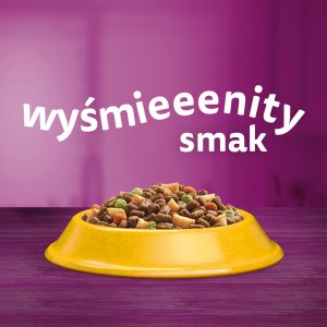Whiskas Adult 3x1,4 kg - sucha karma dla dorosłego kota, z pysznym kurczakiem 5