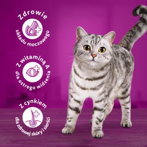 Whiskas Adult 3x1,4 kg - sucha karma dla dorosłego kota, z pysznym kurczakiem 8