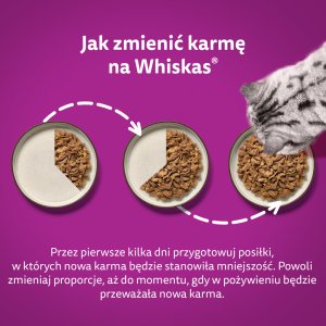 Whiskas Adult saszetki 80 x 85 g Rybne Przysmaki - mokra karma dla dorosłego kota, w galaretce (kawałki z: łososiem, tuńczykiem, dorszem, białą rybą) 10