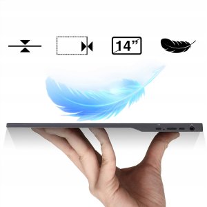 Monitor Zenwire AMG14 14