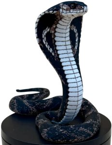Figurka Safari LTD. Kobra Królewska King Cobra Kolekcjonerska 2