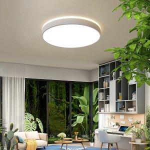 Lampa sufitowa Abigali Plafon do przedpokoju -MD1012-60-BW LED 60W 3000K biały 4