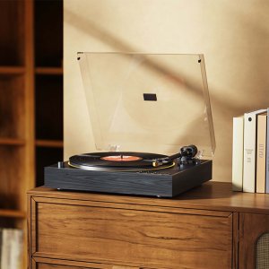 Gramofon FiiO TT11 black wood - gramofon automatyczny (6953175761556) 3