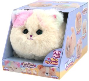 Sandy BFF Kiki the kitten (26753100514) 3