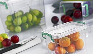 Chomik Pojemnik plastikowy prostokątny 300ml MULTIBOX uniwersalny 3