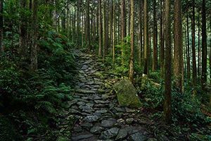 Obiektyw Sony Sony E 24-105 mm F/22 2