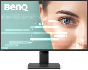 Monitor BenQ GW2490P 8