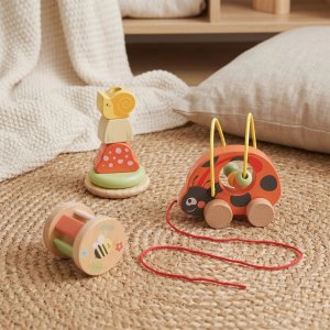 Tooky Toy Zestaw zabawek Montessori od 12m+ biedronka do zabawy rozwojowej 3w1 (TP563) 2
