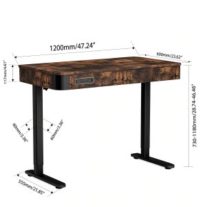 Biurko Triadyn WorkBase S 1206 elektryczna regulacja wysokości 120x60cm z szufladą dąb rustykalny 3