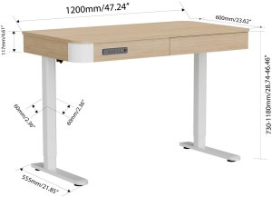 Biurko Triadyn WorkBase S 1206 elektryczna regulacja wysokości 120x60cm z szufladą dąb jasny 3