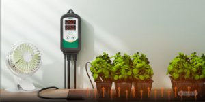 inkbird Regulator temperatury Inkbird ITC-308-WiFi 6