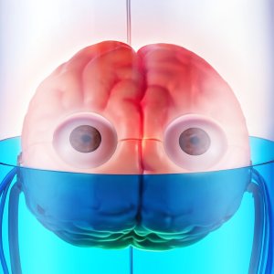 Zuru Interaktywna zabawka Roboalive „Brian the Brain“ (71172Z) 5