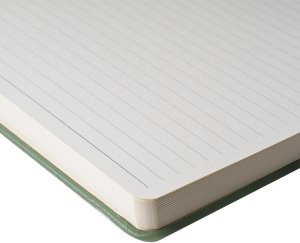 Sakura Ruled hard cover notebook A4, Pine Needle (ROY-94146905) 2