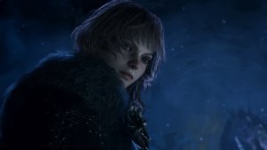 Dragon's Dogma II (2): Dark Arisen (5055060912676) 5