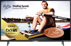 Telewizor GoGEN TVU55V298STWEB LED 55'' 4K (Ultra HD) 2