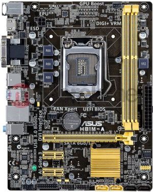 Płyta główna Asus H81M-A H81 (PCX/DZW/GLAN/SATA3/USB3/DDR3) 1