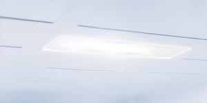 Lodówka Amica FK3556.2FZAA 20