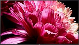 Telewizor Sony KD-65XG9505 LED 65'' 4K (Ultra HD) Android 11