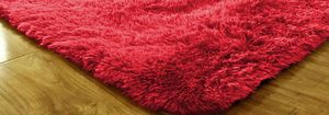 Dywan - Living Room Shaggy 200x300 - Red uniwersalny 9