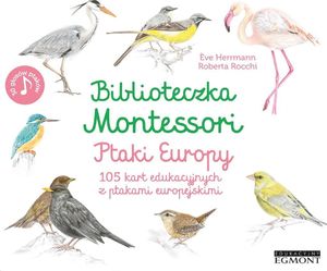 Biblioteczka Montessori. Ptaki Europy 1