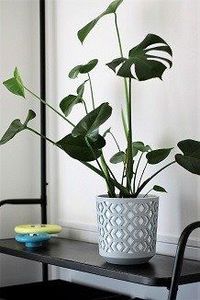 Lamela DONICA OSŁONKA AZTEK BIAŁY/JASZ 19x19 cm H:20cm uniwersalny 4