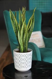 Lamela DONICA OSŁONKA AZTEK BIAŁY/JASZ 19x19 cm H:20cm uniwersalny 5