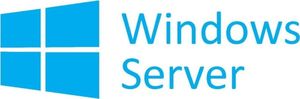 HP Microsoft Windows Server 2019 Standard ENG OEM  (P11058-B21) 1