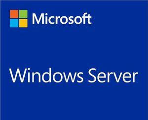 HP Microsoft Windows Server 2019 CAL  (P11078-A21) 1