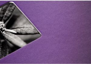 Hama ALBUM FINE ART 22X17/50 FIOLETOWY (948810000) 2