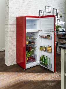 Lodówka Amica KGC15630R 7