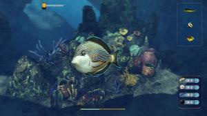 Depth Hunter 2: Scuba Kids - Hidden Treasures PC, wersja cyfrowa 2