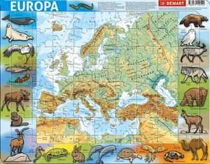 Demart Puzzle ramkowe - Europa fizyczna 1