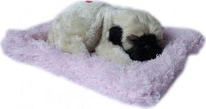 Askato Śpiący piesek na poduszce Mops 1