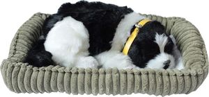 Askato Śpiący pies na poduszce czarno-biały (107233) 1
