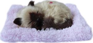 Askato Śpiący kotek na poduszce brązowy 1