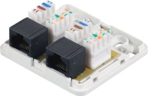 Solarix gniazdo 2 x CAT5e UTP RJ45 montowane na białym tle (na dole wylot) 2