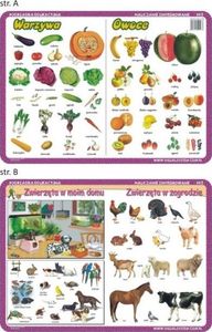 Visual System Podkładka edu. 003 - Warzywa, owoce, zwierzęta 1
