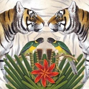 Museums & Galleries Karnet kwadrat z kopertą Bengal Tiger 1
