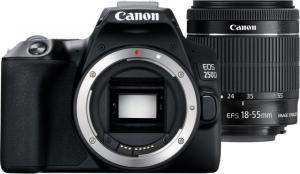 Lustrzanka Canon EOS 250D EF/EF-S 18-55 mm F/3.5-5.6 Brak danych 1