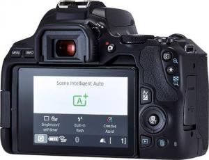 Lustrzanka Canon EOS 250D EF/EF-S 18-55 mm F/4-5.6 DC III 3