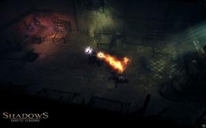 Shadows: Heretic Kingdoms PC, wersja cyfrowa 7