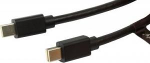 Kabel Techly DisplayPort Mini - DisplayPort Mini 2m czarny (ICOC-MDP-14-020) 1