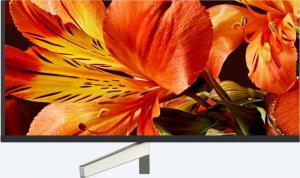 Telewizor Sony KD-55XF8577 LED 55'' 4K (Ultra HD) Android 9