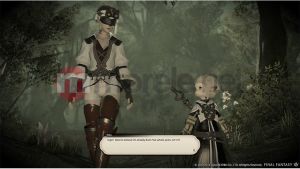 Final Fantasy XIV: A Realm Reborn Collector's Edition 3