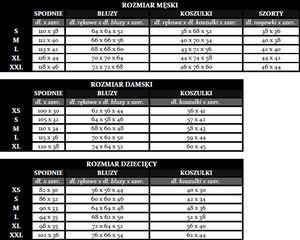 Puma Koszulka męska Ferrari Life Tee bordowa r. XL (576679 06) 3