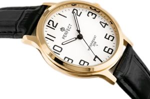 Zegarek Perfect PERFECT KLASYKA A4022-G (zp256b) uniwersalny 3