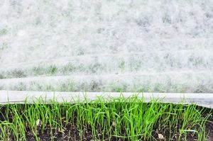 Szarpol Agrowłóknina wiosenna 21g 12,65x100m biała UV POLSKA uniwersalny 6